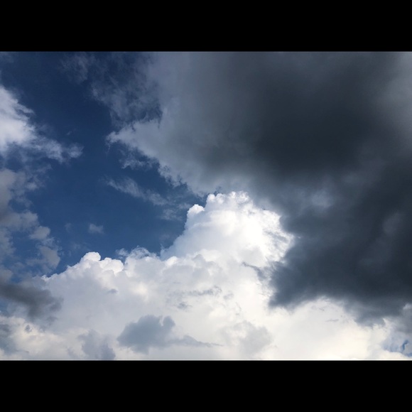 Meet your Posher, Lily - Picture 1 of 1